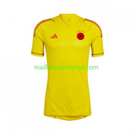 Maillot/Tenue Allemagne Gardien Enfant Exterieur Coupe du monde 2022